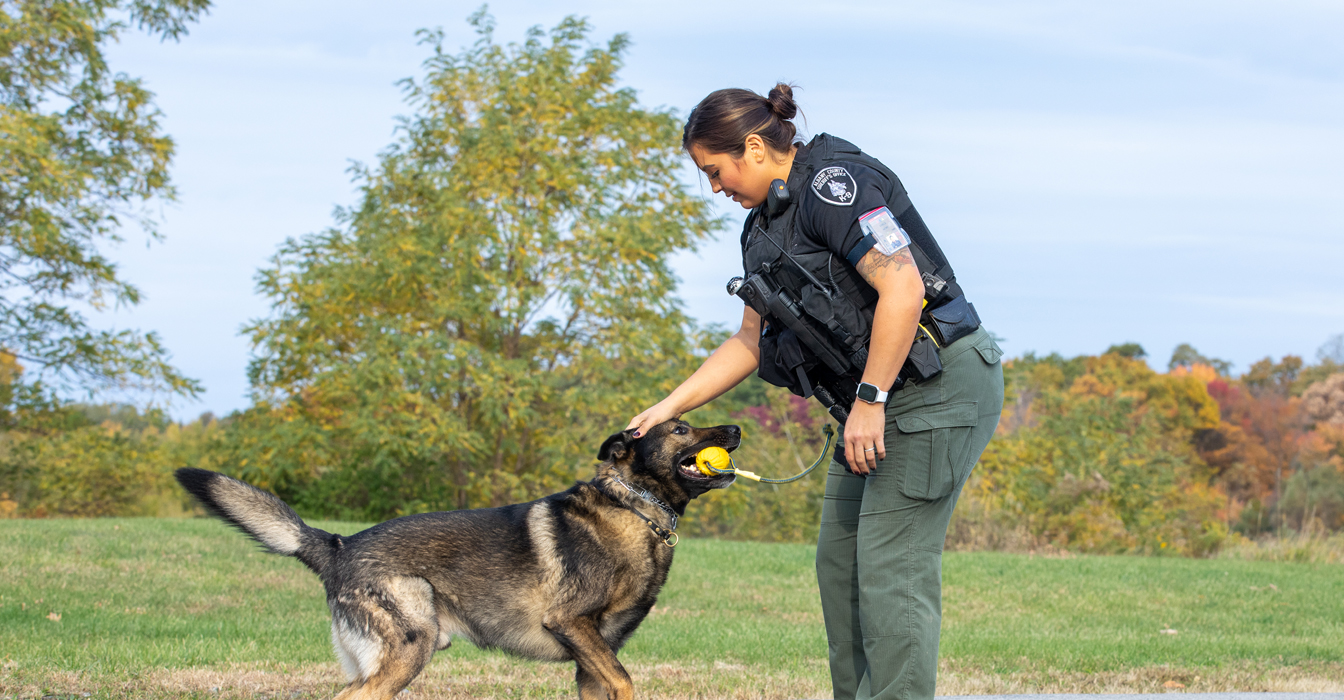 Police K9 officer Kayla Apple works with a German shepherd.