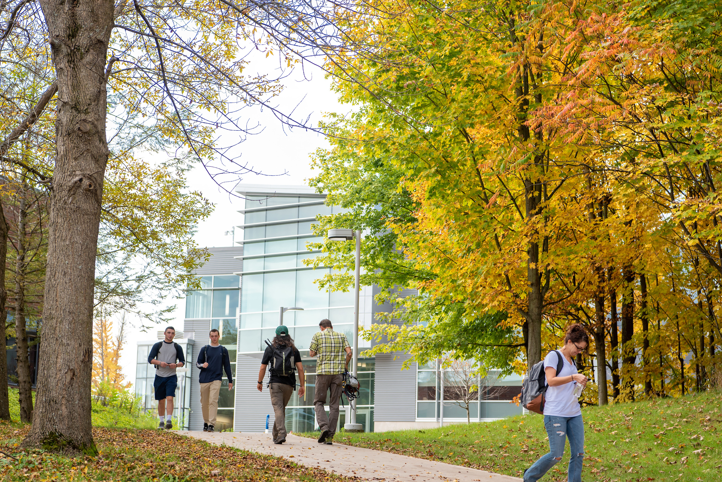 Students walk along a tree-lined path on campus