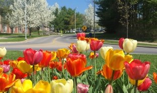Image for news article Spring 2018 Dean's List