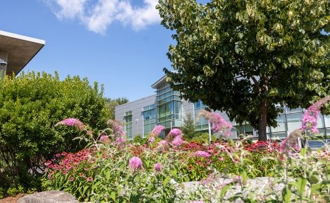 Flowers are seen growing in front of Adirondack Hall
