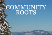 Cover image of the Community Roots Issue 2 brochure of Lake George in winter